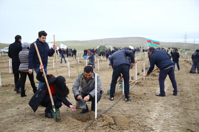 Azerbaycan'da bir günde 650 bin fidan dikildi