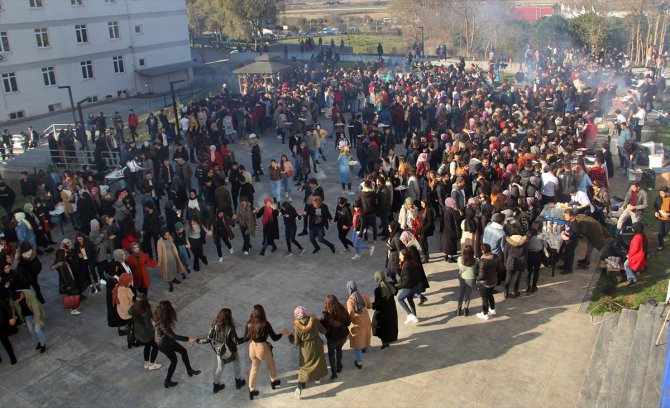 Sinop Üniversitesi Hamsi Şenliği'nde öğrencilere 1 ton hamsi ikram edildi
