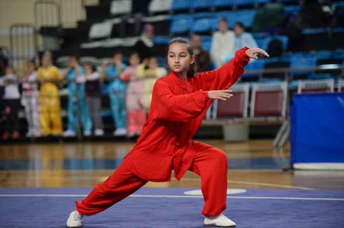 Wushu Kung Fu Geleneksel Türkiye Şampiyonası, Sakarya'da başladı