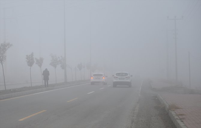 Erzurum ve Iğdır'da yoğun sis etkili oldu