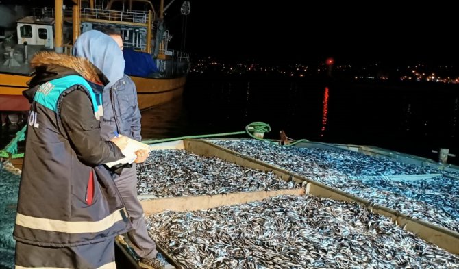 Rize'de 25 ton küçük boy balığa el konuldu