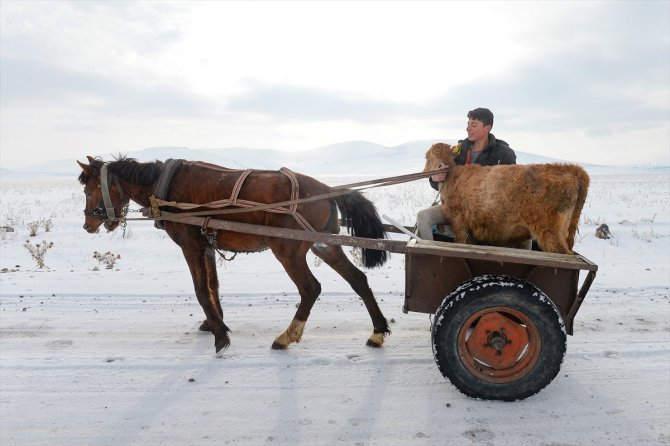 Iğdır ve Kars'ta kış zorlukları ve güzelliğiyle yaşanıyor