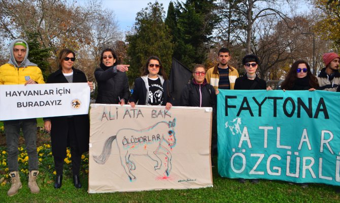Hayvan hakları savunucularının fayton protestosu sürüyor