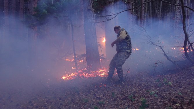 GÜNCELLEME 2 - Uludağ'da çıkan orman yangını kontrol altına alındı