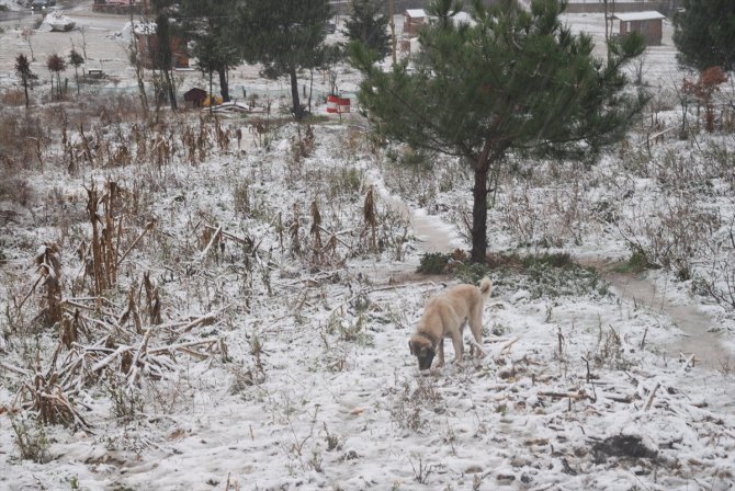 İstanbul'un yüksek kesimlerinde kar etkili oluyor