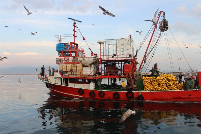 Bandırma Onyedi Eylül Üniversitesi Denizcilik Fakültesi Dekanı Prof. Dr. Sarı'dan "açık deniz balıkçılığı" çağrısı