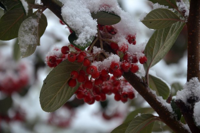Karaman'da kar yağışı şehirler arası ulaşımı aksatıyor