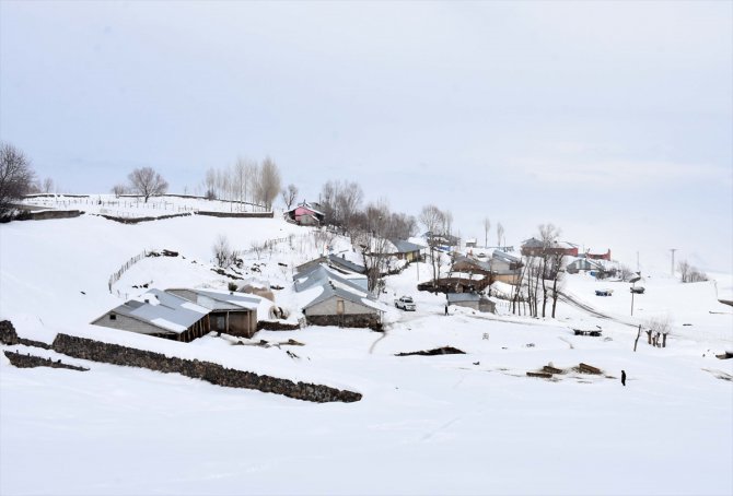 Muş'ta bazı köylerdeki tek katlı evler karla kaplandı