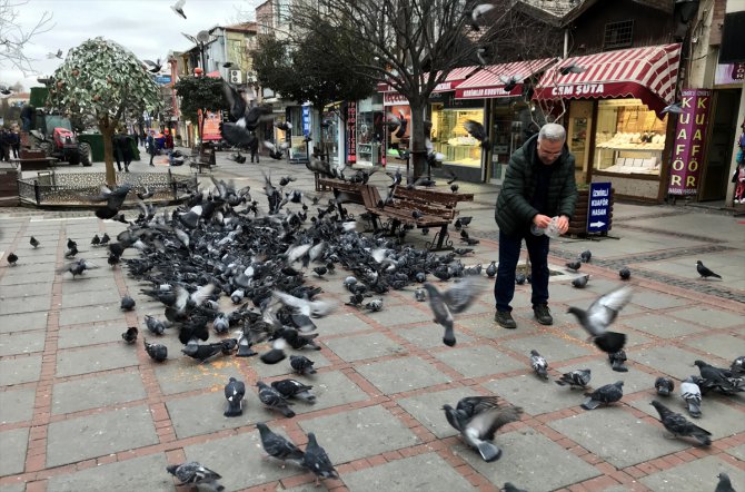 Teknisyen Necdet 10 yıldır Edirne'nin güvercinlerini besliyor