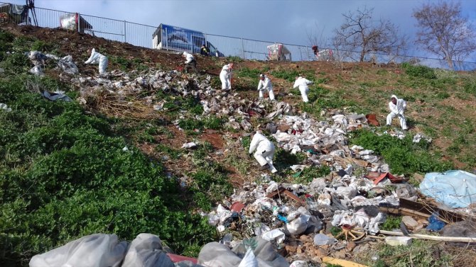 İSTAÇ, Büyükada'da 25 ton çöp ve atık topladı