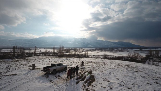 Afyonkarahisar'da kış ortası kuş sayımı yapıldı