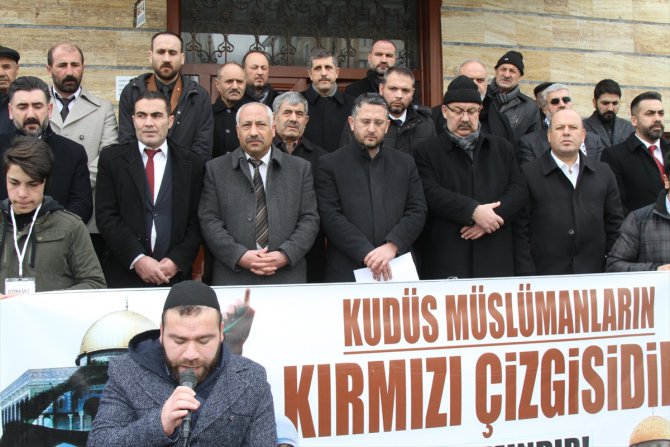 ABD'nin sözde Orta Doğu barış planı Van, Muş ve Bitlis'te protesto edildi