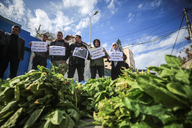 İsrail'in zehirli böcek ilaçları Gazzeli çiftçilerin mahsullerine zarar veriyor