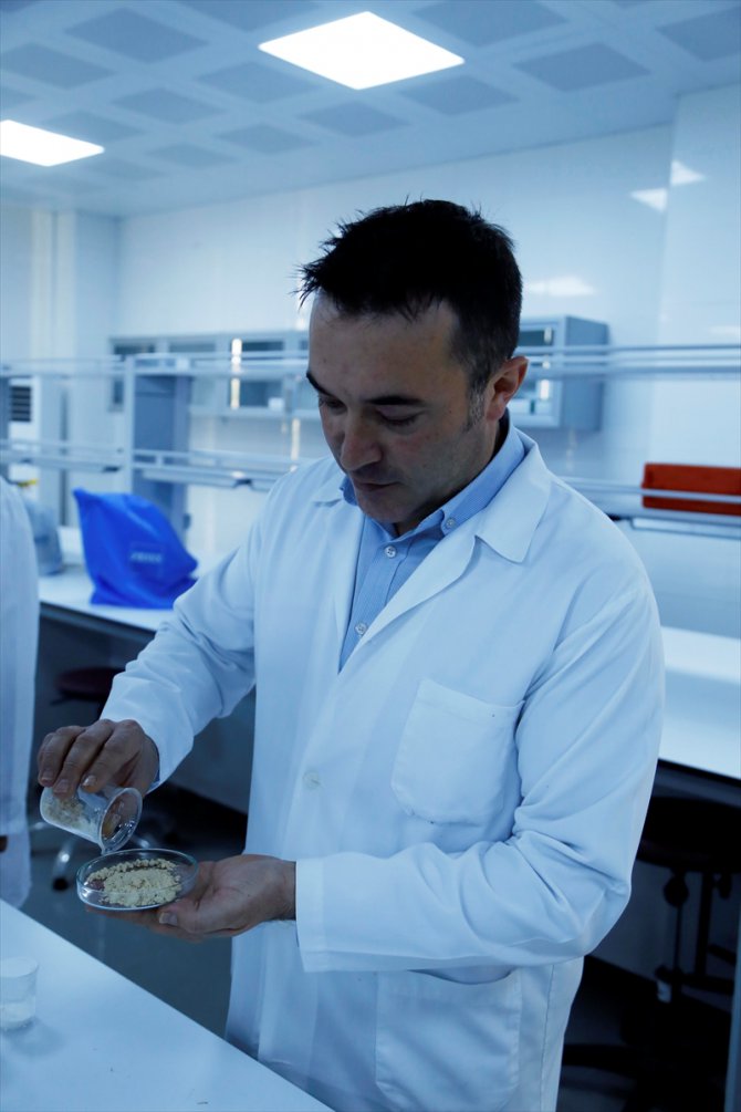 Türk bilim insanları gıda ve arıcılık sektörü için "yerli enzim" üretti