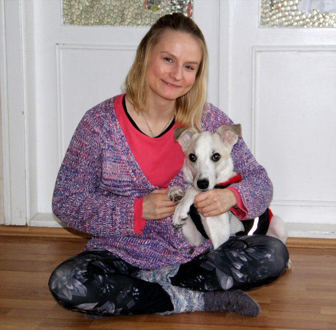 Sokak köpeği "Pamuk"un hayatı "Heidi" ile değişti