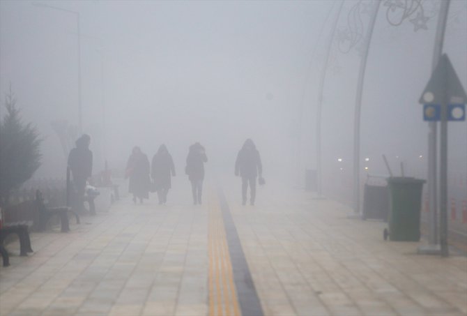 Sakarya, Kocaeli ve Düzce'de yoğun sis etkili oldu
