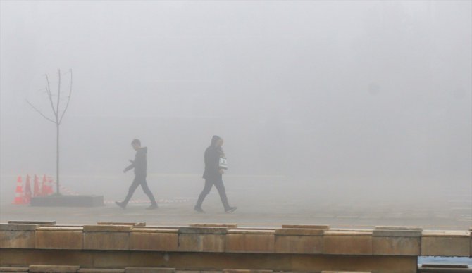 Sakarya, Kocaeli ve Düzce'de yoğun sis etkili oldu