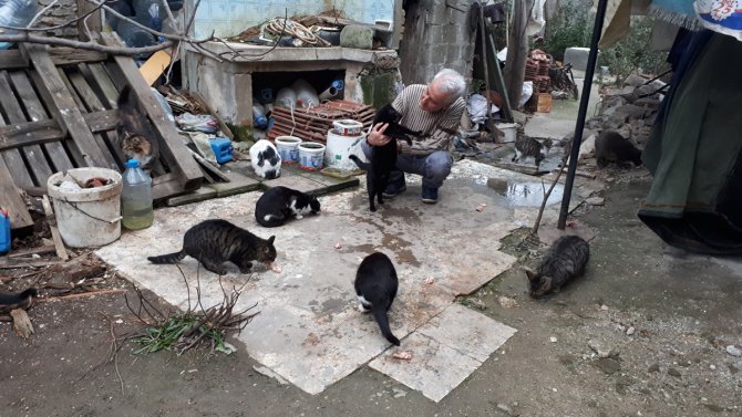 Emekli maaşıyla sokak kedilerini besliyor