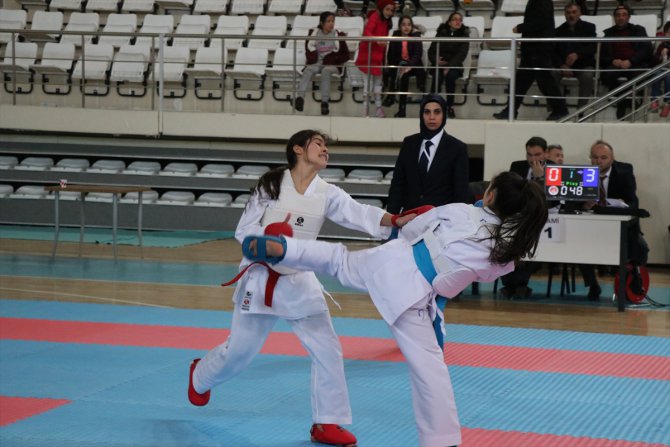 Erzincan'da ANALİG Karate Grup Müsabakaları sona erdi