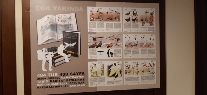 "Türkiye'nin Kuşları" kitabıyla 485 kuş türünü doğaseverlere tanıtacaklar