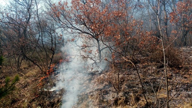 GÜNCELLEME - Bursa'da ormanlık alanda çıkan yangın söndürüldü