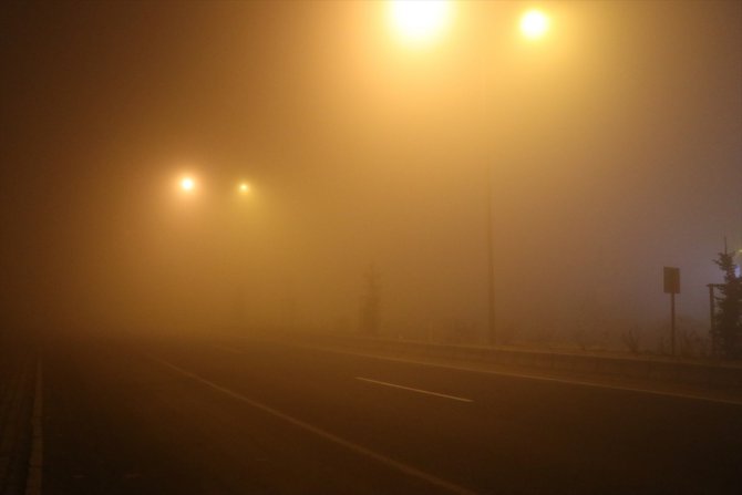 Ağrı'da yoğun sis ulaşımı aksattı