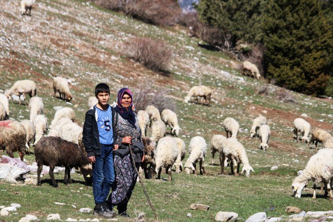 Oğlu ile Toroslar'da koyun sürüsü otlatan kadın ailesinin geçimini sağlıyor