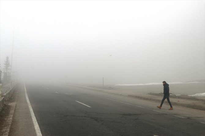 Ağrı'da yoğun sis sürücülere zor anlar yaşattı