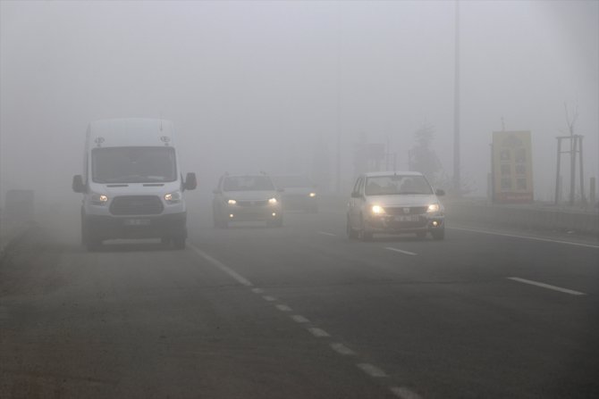 Ağrı'da yoğun sis sürücülere zor anlar yaşattı