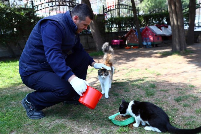 Bağcılar Belediyesi Kovid-19 salgınında sokak hayvanlarını yalnız bırakmadı
