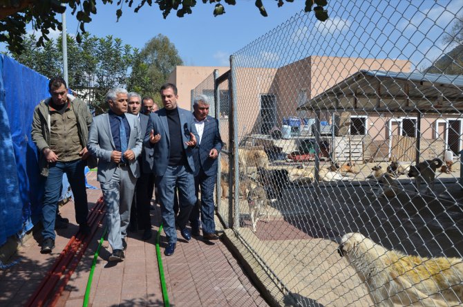 Adana'da Kozan Belediyesinden hayvan barınağı açıklaması