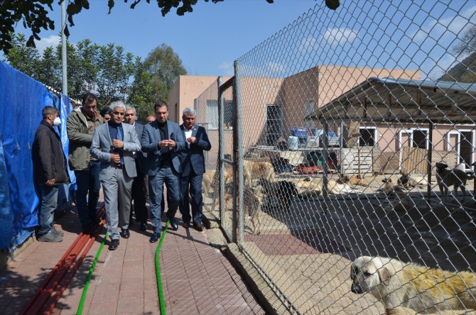 Adana'da Kozan Belediyesinden hayvan barınağı açıklaması