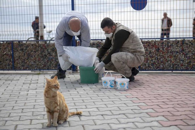 Mersin'de hayvan barınaklarına mama ile su bırakıldı