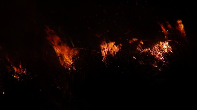 Göksu Deltası'nda yangın