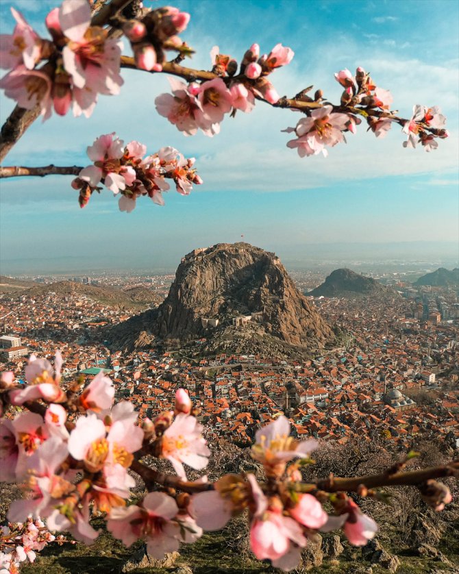 Afyonkarahisar'da baharın müjdecisi badem ağaçları çiçek açtı