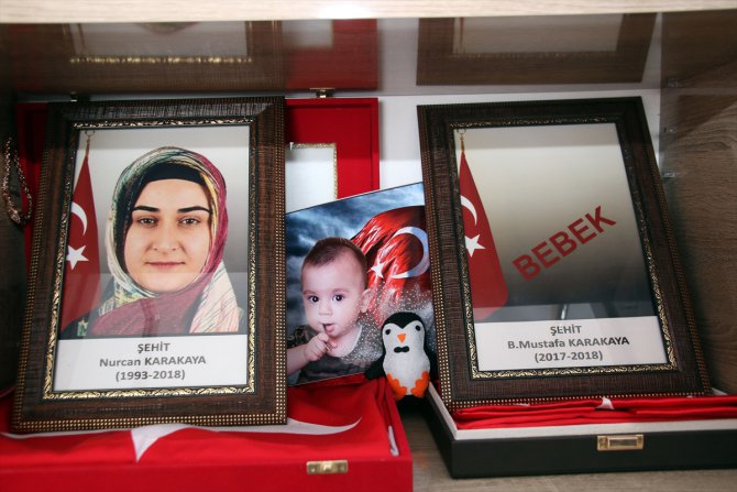 Şehit annesinden Milli Dayanışma Kampanyası'na destek