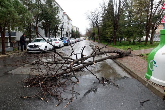Kırklareli'de şiddetli rüzgar nedeniyle ağaçlar devrildi, bir apartmanın çatısı uçtu
