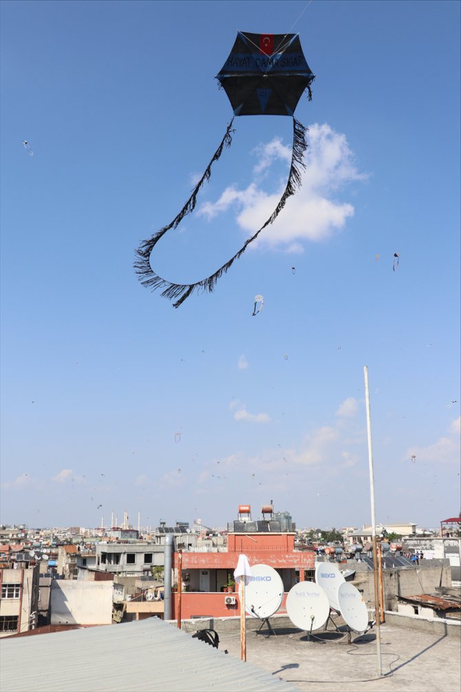 Adana'da "Hayat dama sığar" etkinliğiyle gökyüzü uçurtmalarla renklendi