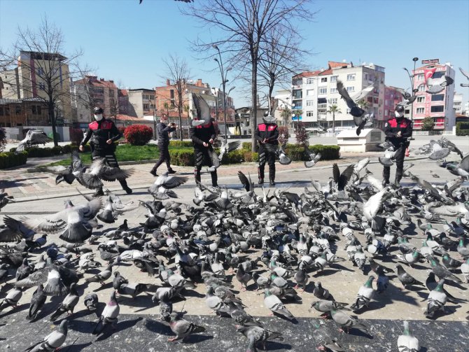 Balıkesir'de sokağa çıkma yasağında sokak hayvanlarını polisler besledi