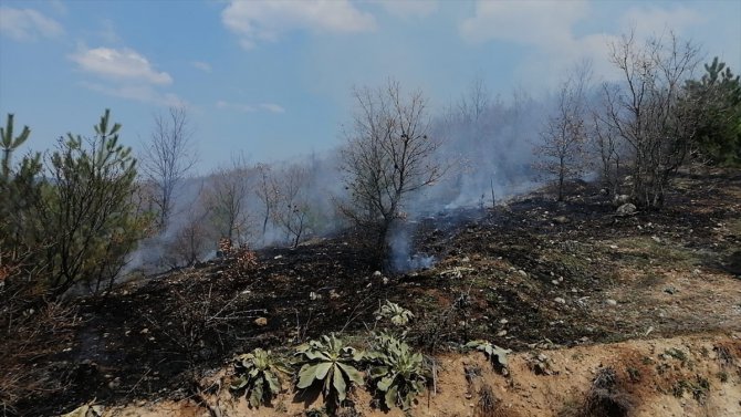 Kütahya'da orman yangınında 2 hektar alan zarar gördü