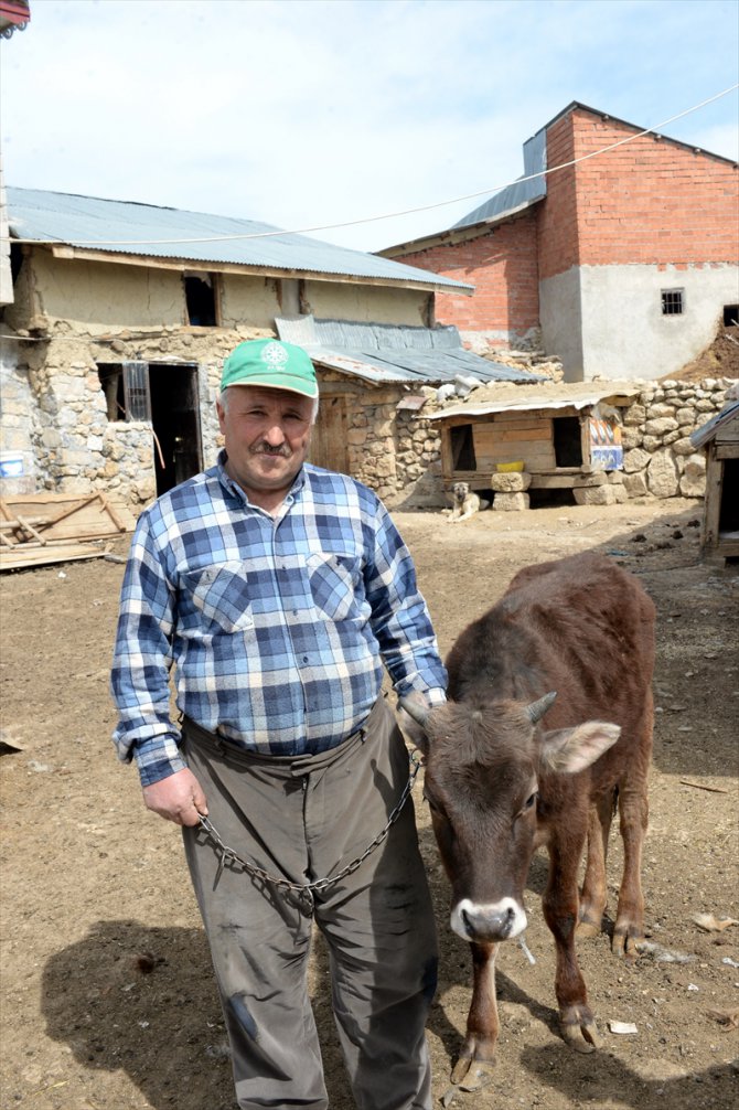 Tokatlı çiftçi 2 koyun ve düvesini Milli Dayanışma Kampanyası'na bağışladı