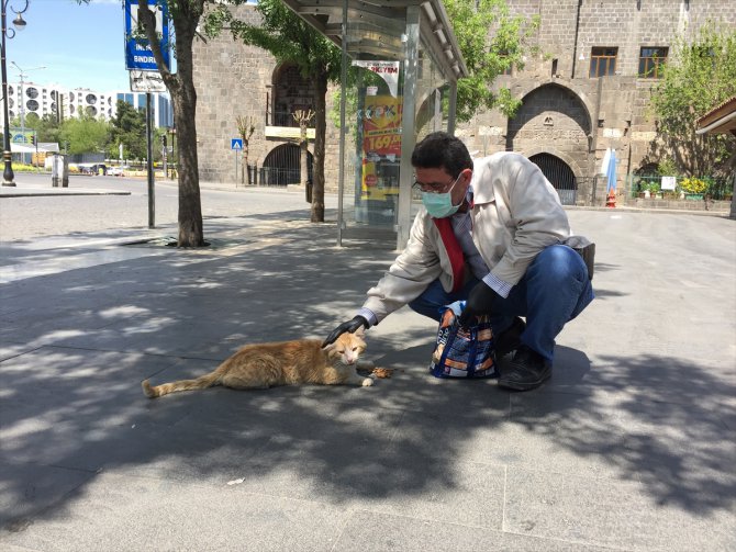 Sokağa çıkma kısıtlamasının uygulandığı Diyarbakır'da sokak hayvanları unutulmadı