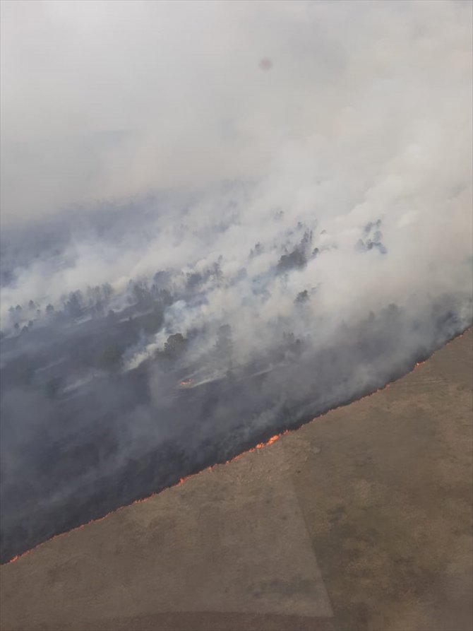 Kazakistan'da orman yangını