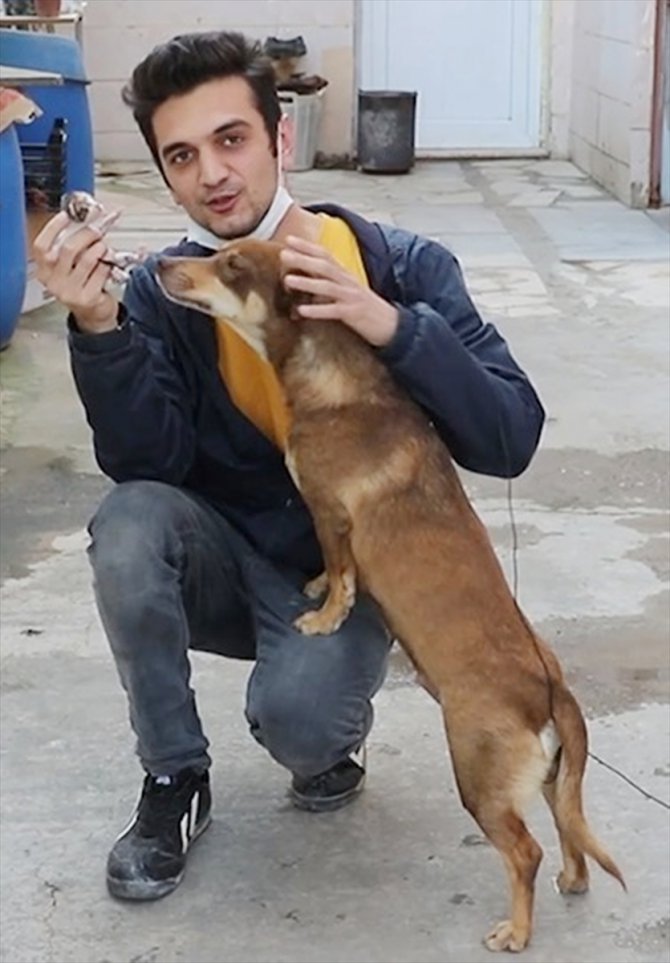 Manisa'da sokakta bulunan yavru kediye gebe köpek sahip çıktı