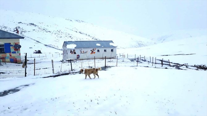 Ağrı'da nisanda yağan kar köylerde yaşamı olumsuz etkiledi