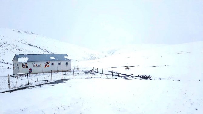 Ağrı'da nisanda yağan kar köylerde yaşamı olumsuz etkiledi