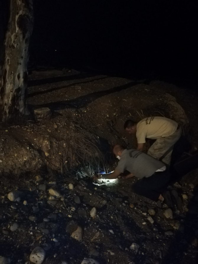 Mersin'de ağaç kökleri altında mahsur kalan köpek ve 7 yavrusu kurtarıldı