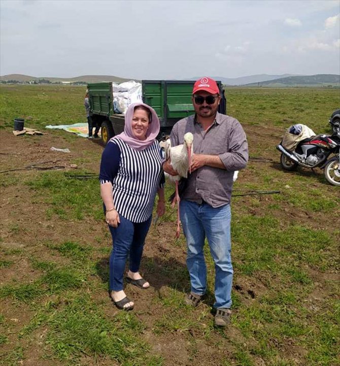 Gaziantep'te tarlada yaralı bulunan leylek tedaviye alındı