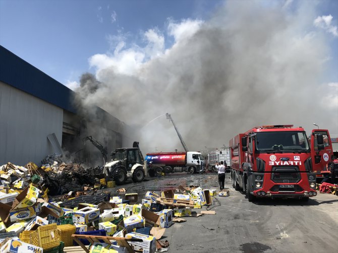 GÜNCELLEME - Mersin'de narenciye paketleme fabrikasında çıkan yangın kontrol altına alındı