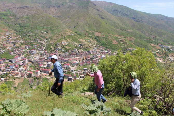 Başkan Saklı, Efkar Dağı'na tırmanarak Seyir Tepesi yapılacak alanı inceledi